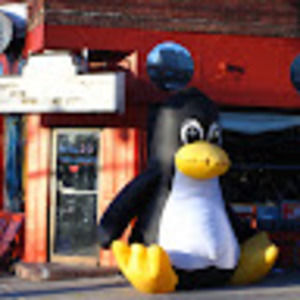 Meet your Posher, Caroline